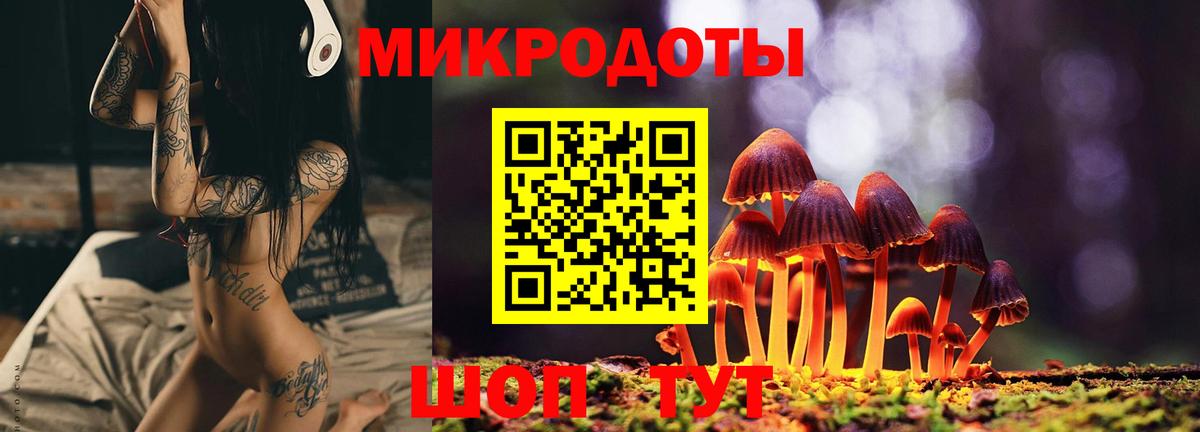 Псилоцибиновые грибы мицелий Нягань