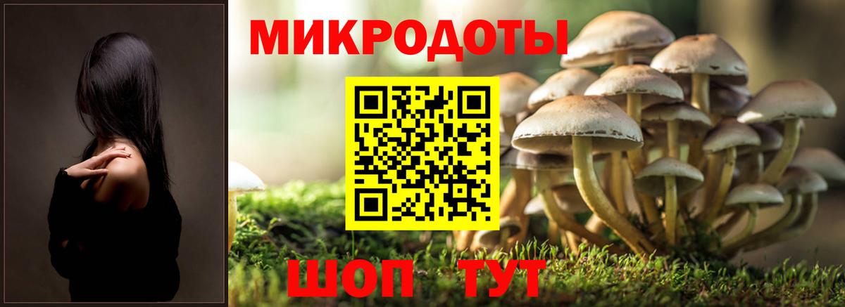где купить наркотик  Псилоцибиновые грибы Magic Shrooms  Вход с VPN  Нягань 